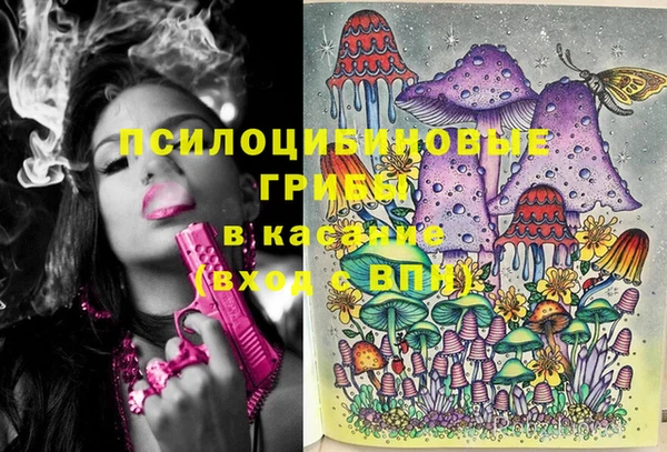гидра Беломорск