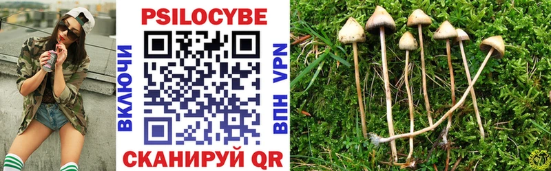 Галлюциногенные грибы MAGIC MUSHROOMS  Нестеров 